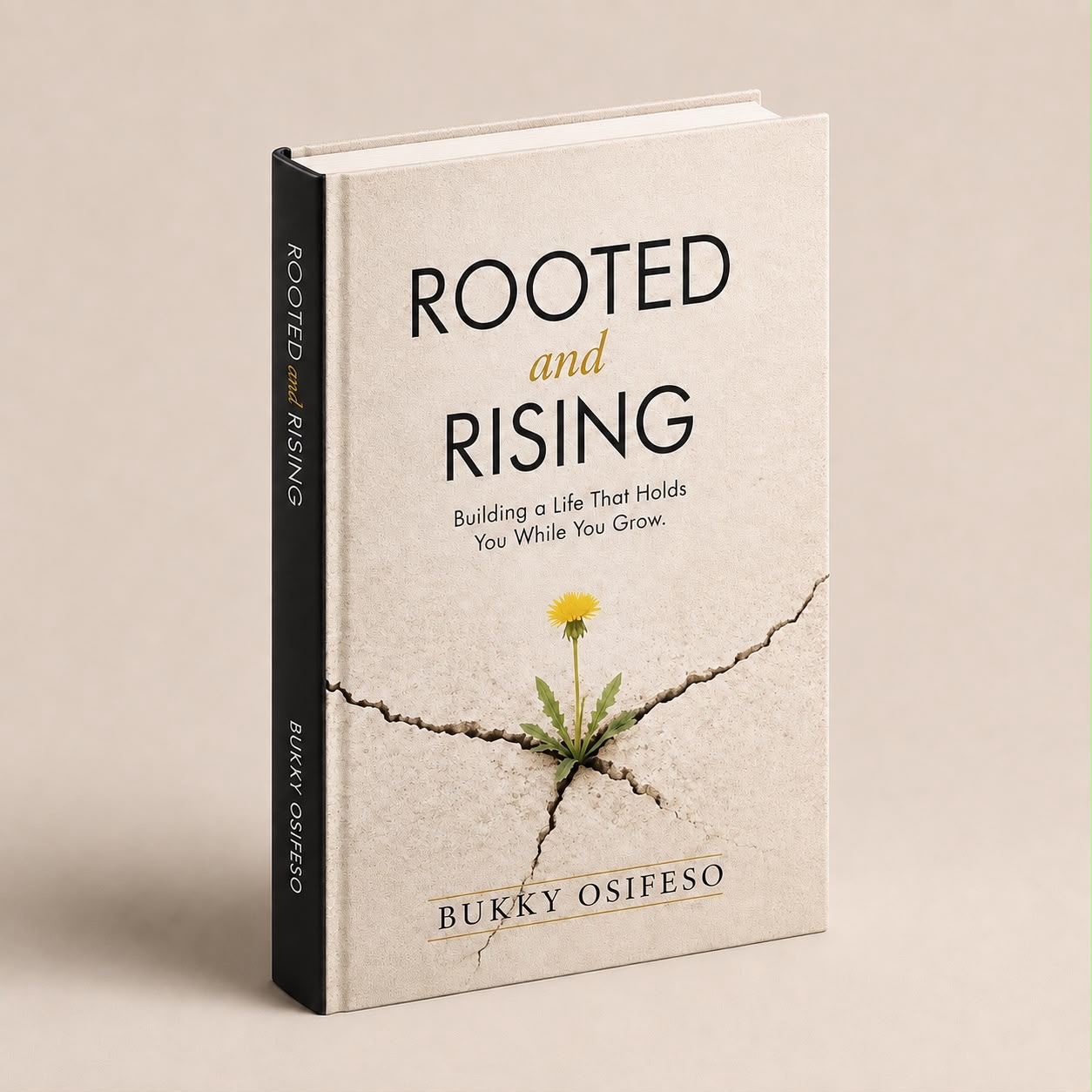 Rooted and Rising book cover by Bukky Osifeso